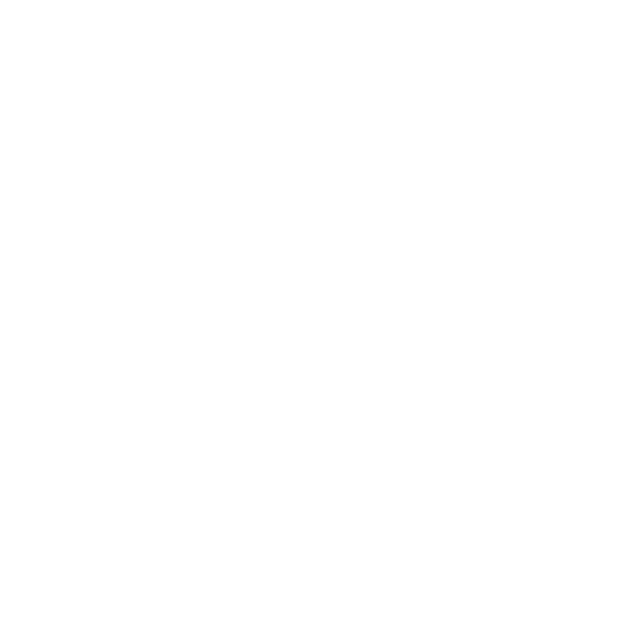 Roamvy logo – eSIM for travel data